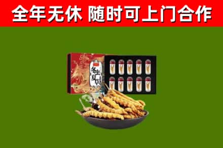 五大连池回收冬虫夏草价格